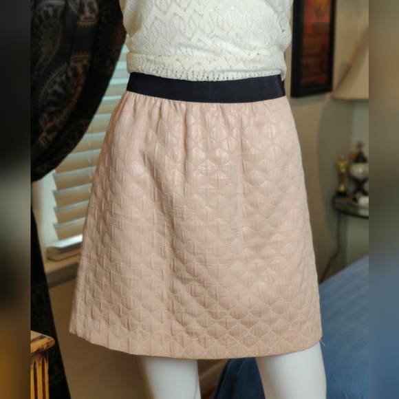Ann Taylor Loft Pale Pink Embossed Skirt Size 6 - Picture 12 of 14